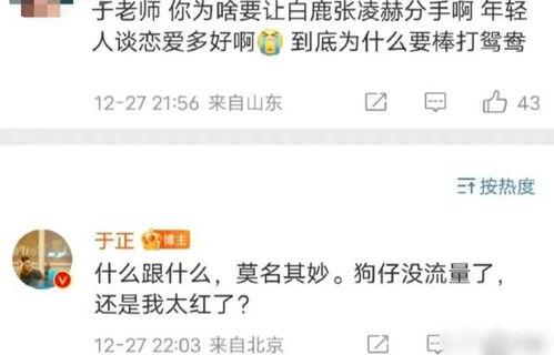 吃瓜爆料张凌赫视频在线观看,吃瓜爆料视频带你一探究竟