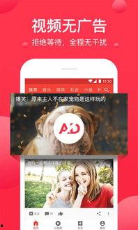 独家爆料吃瓜视频大全下载,吃瓜视频大全下载，一网打尽热门爆料！