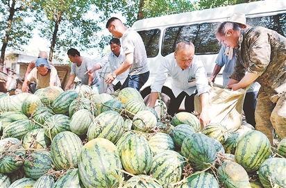 砀山县吃瓜最新事件爆料,揭秘背后惊人真相