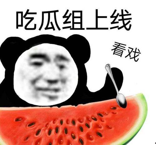 网红吃瓜爆料黑料不打洋,吃瓜爆料，不打洋黑料背后的真相