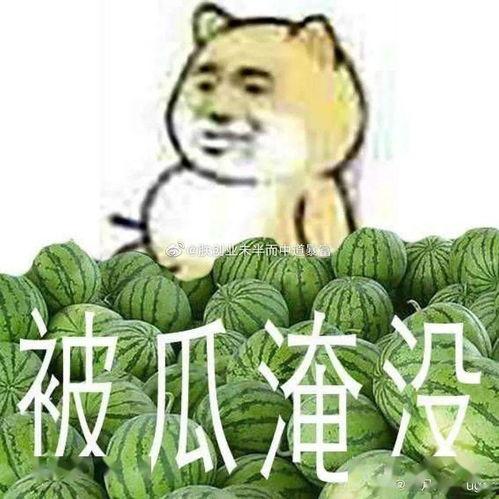网红吃瓜爆料黑料不打洋,吃瓜爆料，不打洋黑料背后的真相